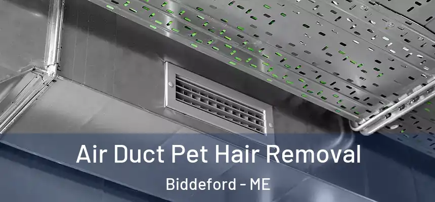 Air Duct Pet Hair Removal Biddeford - ME