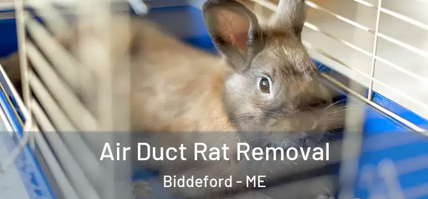 Air Duct Rat Removal Biddeford - ME