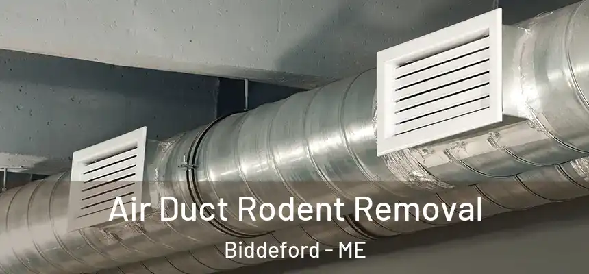  Air Duct Rodent Removal Biddeford - ME