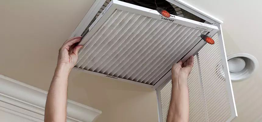 Preventive Cockroach-Proofing for Ducts in Biddeford