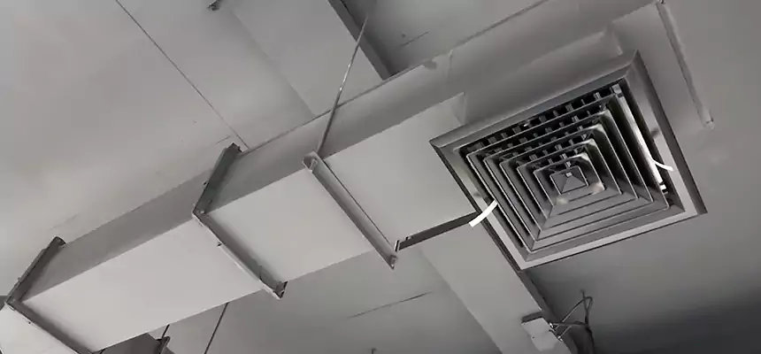 Our Rodent Droppings In Vents Services in Biddeford, ME