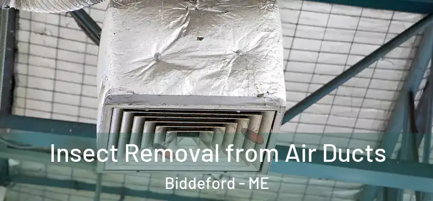  Insect Removal from Air Ducts Biddeford - ME