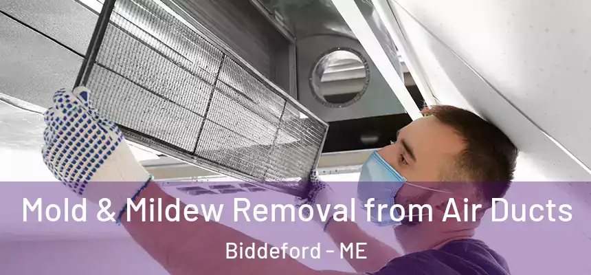  Mold & Mildew Removal from Air Ducts Biddeford - ME