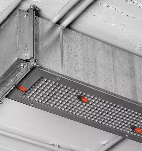 Affordable Insect Removal from Air Ducts in Biddeford, ME