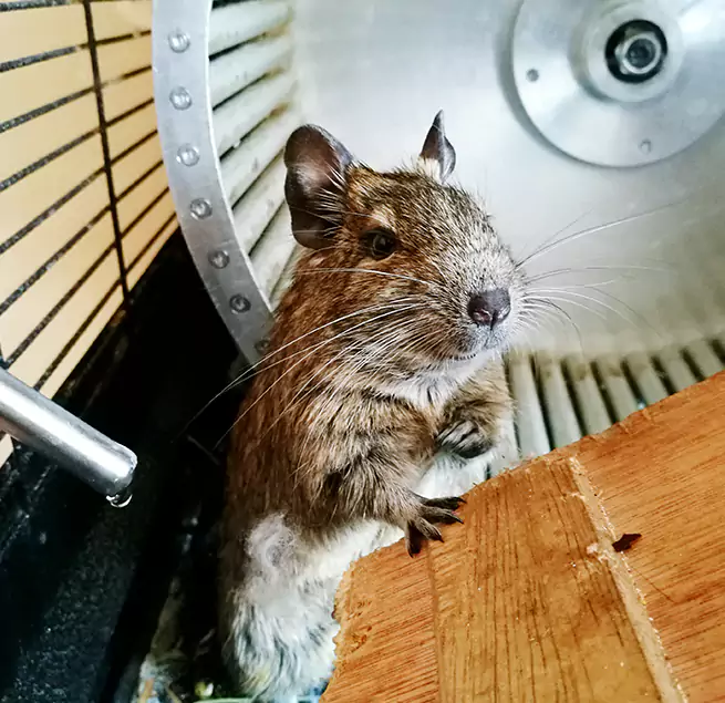 Why Homeowners & Businesses Trust Us Biddeford, ME