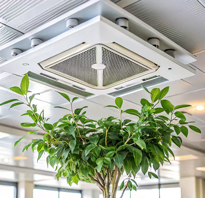 Why Homeowners & Businesses Trust Us in Biddeford, ME